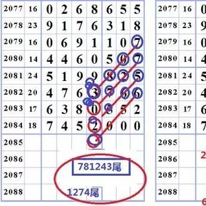 王中王三字平特一肖，探寻背后的神秘与魅力，王中王三字平特一肖，神秘魅力背后的探寻