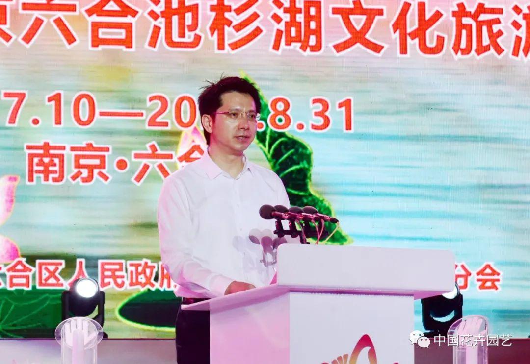澳门六会开奖结果查询——掌握最新动态，轻松赢大奖！，澳门六会最新开奖结果查询，轻松掌握最新动态，赢取大奖！