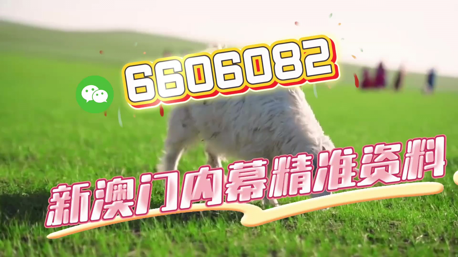 澳门 第30页