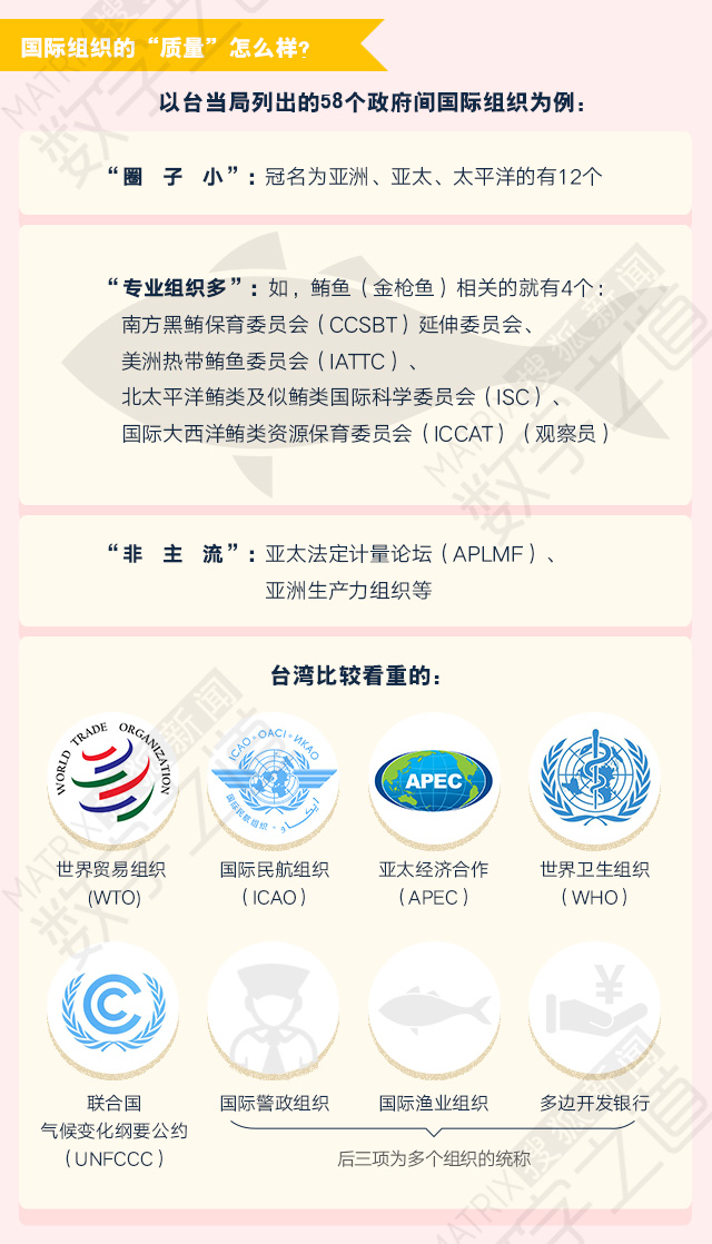 世界十大重要组织及其影响力，世界十大重要组织及其深远影响力