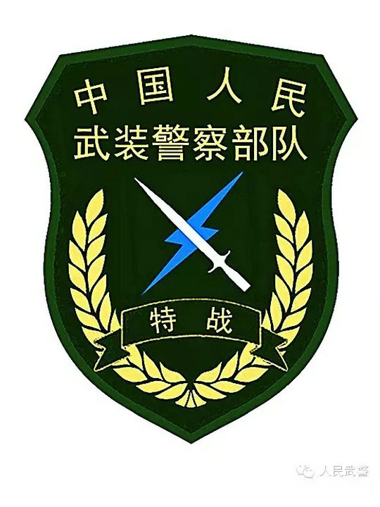 战略支援部队高清Logo的设计与象征意义，战略支援部队高清Logo设计及其象征意义解析