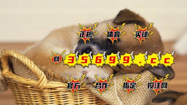 一肖中特兔费资料王中王——揭秘彩票背后的秘密，揭秘彩票背后的秘密，一肖中特兔费资料王中王独家解析彩票内幕