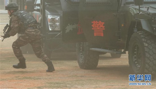 武警雪豹突击队训练真实视频，揭示特种部队训练的艰辛与荣耀，揭秘武警雪豹突击队训练艰辛与荣耀，真实视频展现特种部队风采