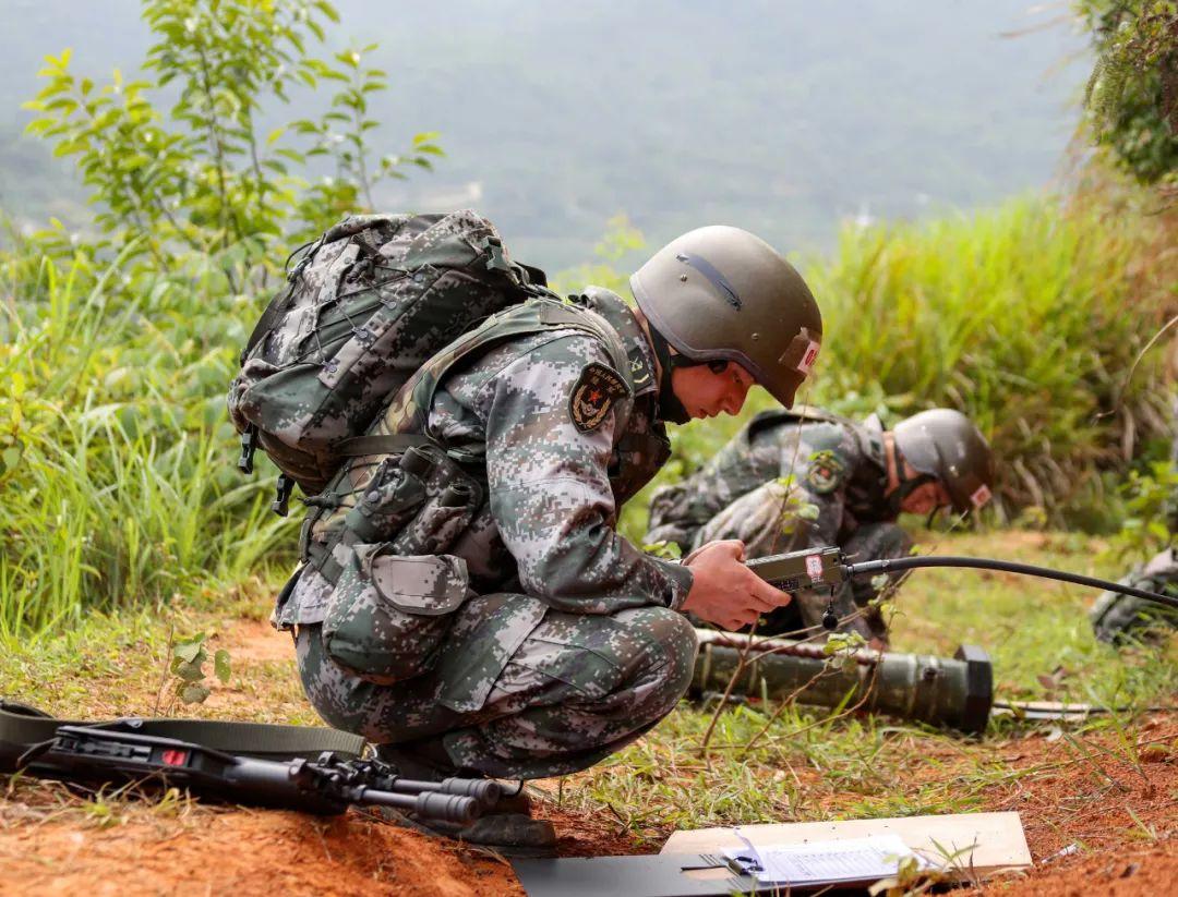 中国陆军兵种概览，中国陆军兵种全面概览
