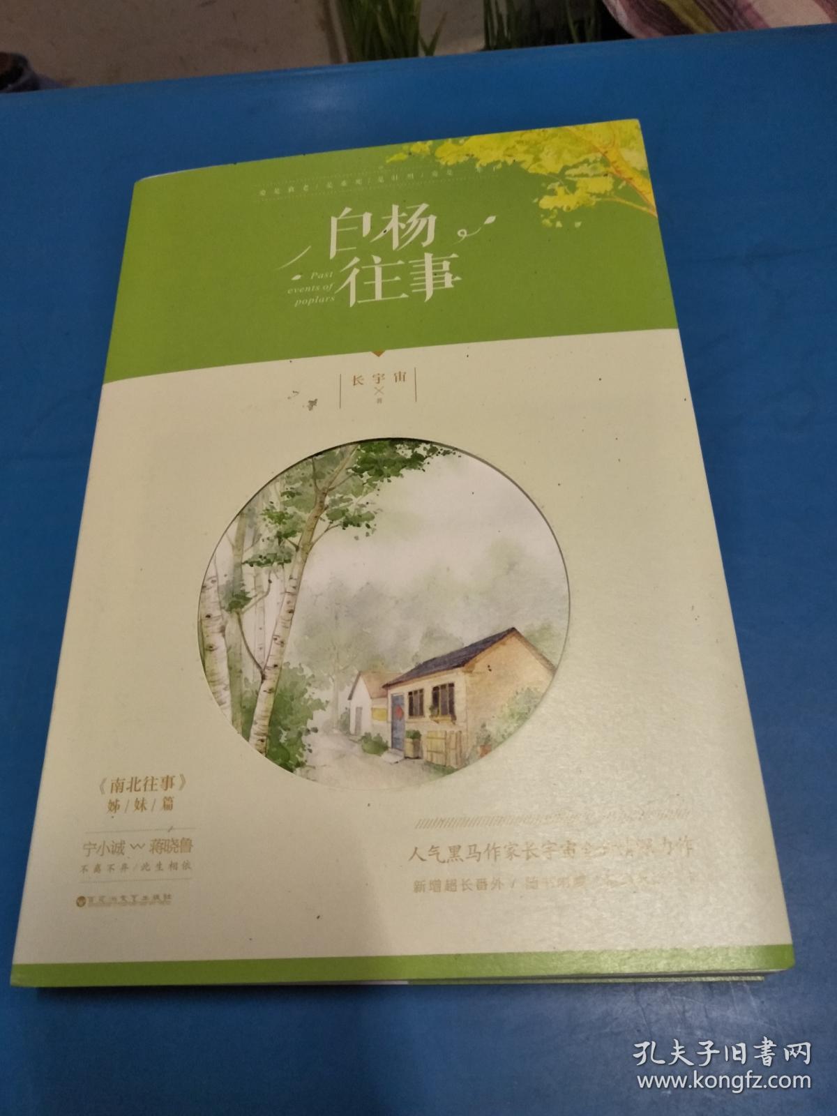 白杨往事，回忆中的坚韧与成长，白杨往事，坚韧与成长的回忆之旅