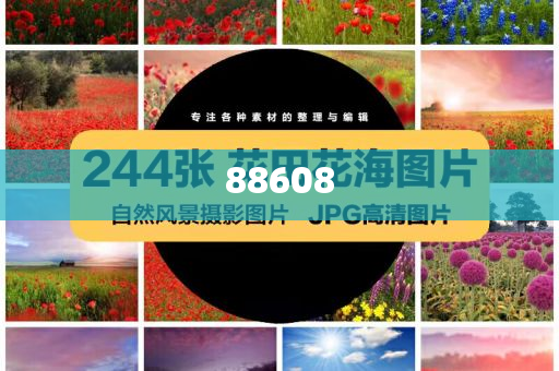 迈向信息透明化的新时代，2025正版资料免费公开的未来展望，迈向信息透明化新时代，2025正版资料免费公开的未来展望