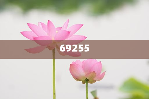 探索与启示（或启示之门）