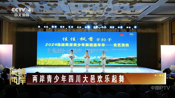 CCTV4中文国际频道下的海峡两岸关系深度解读，CCTV4海峡两岸关系深度解读，透视两岸关系发展脉络