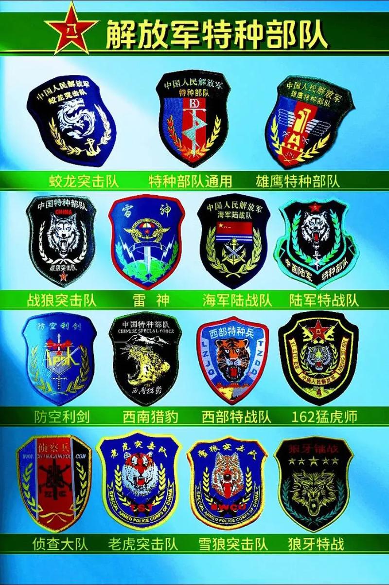 中国响箭特种部队排名及其影响力，中国响箭特种部队排名及影响力探究