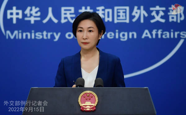 台湾政策法审议最新消息深度解析，台湾政策法最新审议消息深度解析