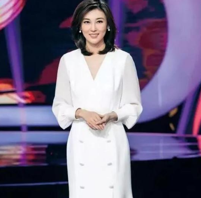 李红怎么没主持海峡两岸，一个值得探究的现象，李红未主持海峡两岸现象探究