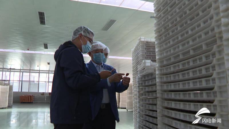 临朐最近新闻大事概述，临朐最新新闻大事概览