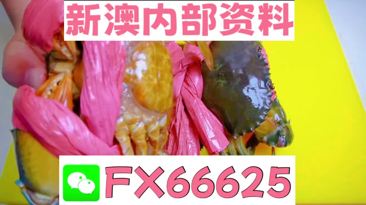 新澳一码料，纺织业的新星与未来展望，新澳一码料，纺织业新星闪耀，未来展望值得期待