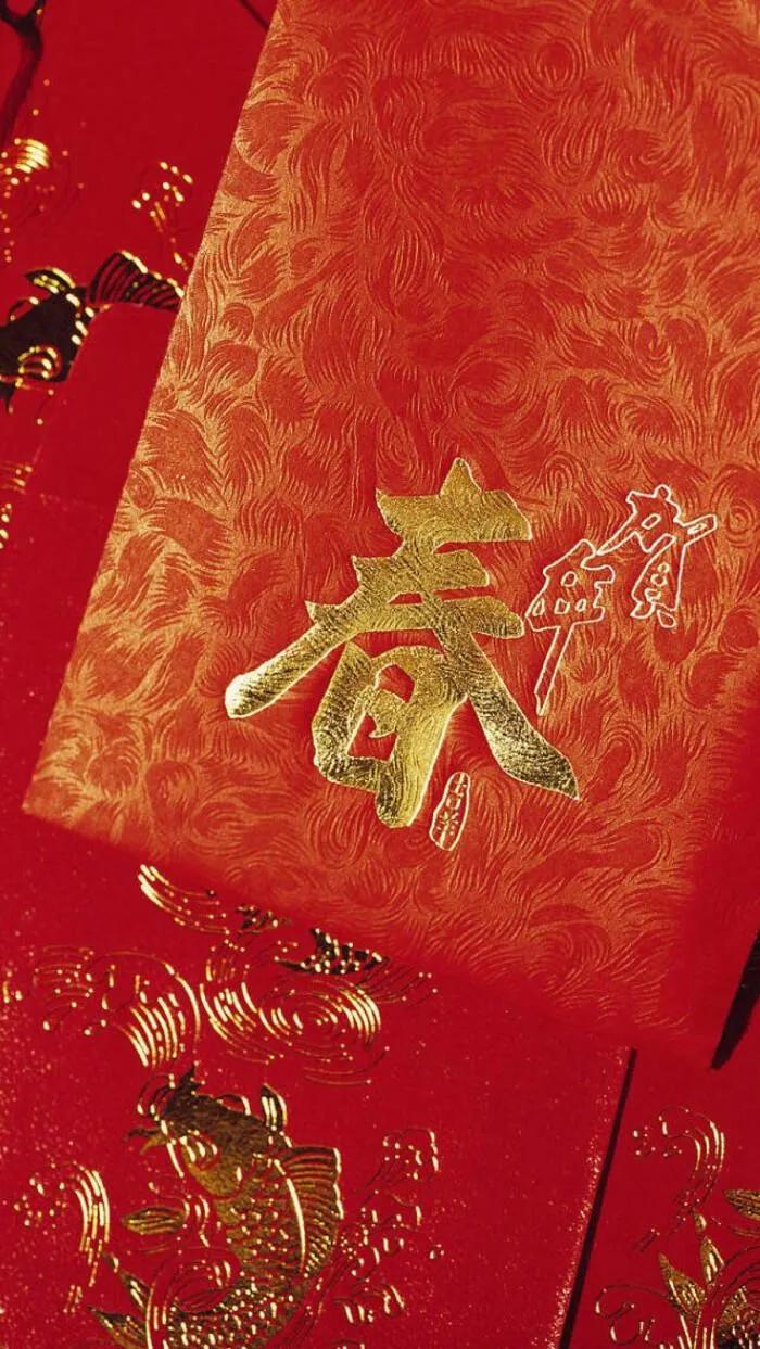 熊猫滚滚看世界2022，一场跨越文化与自然的奇妙旅程，熊猫滚滚看世界之旅，跨越文化与自然的奇妙探险之旅（2022）