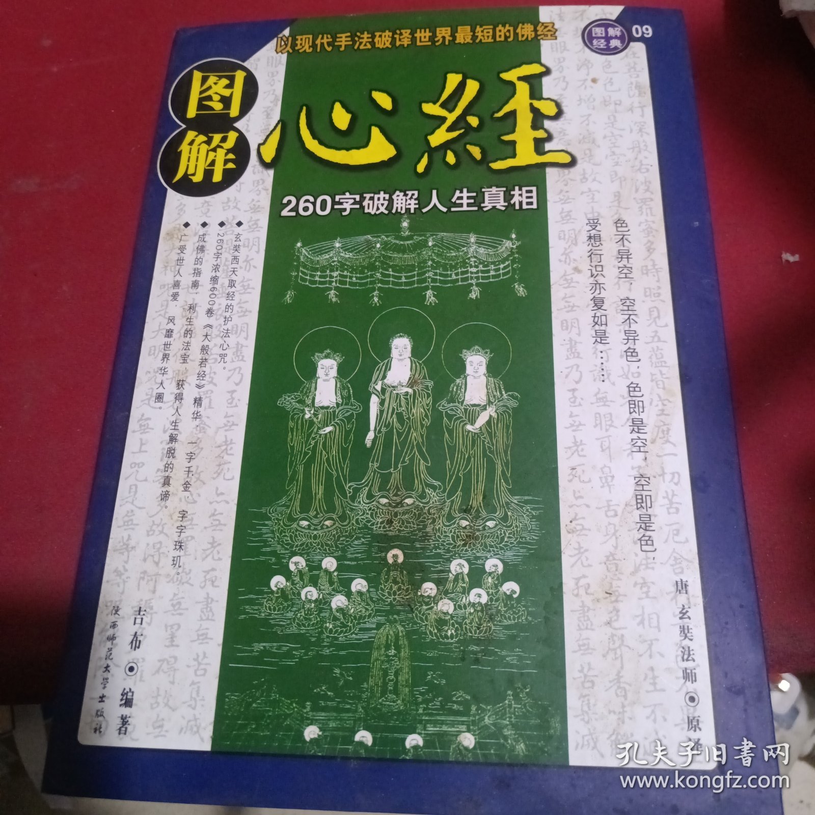 王中王资料一肖中特图东方心经解析与探索,王中王资料与东方心经解析及探索