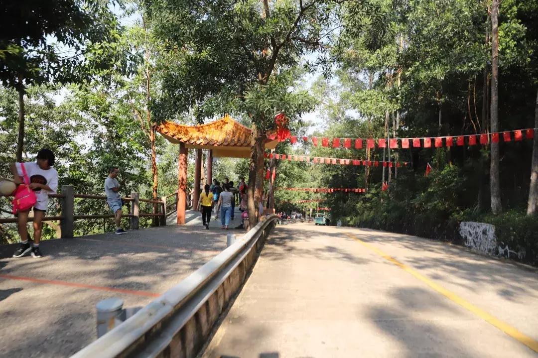 三军仪仗队海军护旗手的荣耀与使命，三军仪仗队海军护旗手的荣耀使命与担当