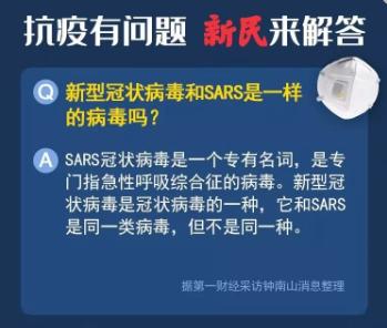 中国快报，聚焦十一月二日的新闻焦点，中国快报聚焦十一月二日新闻焦点