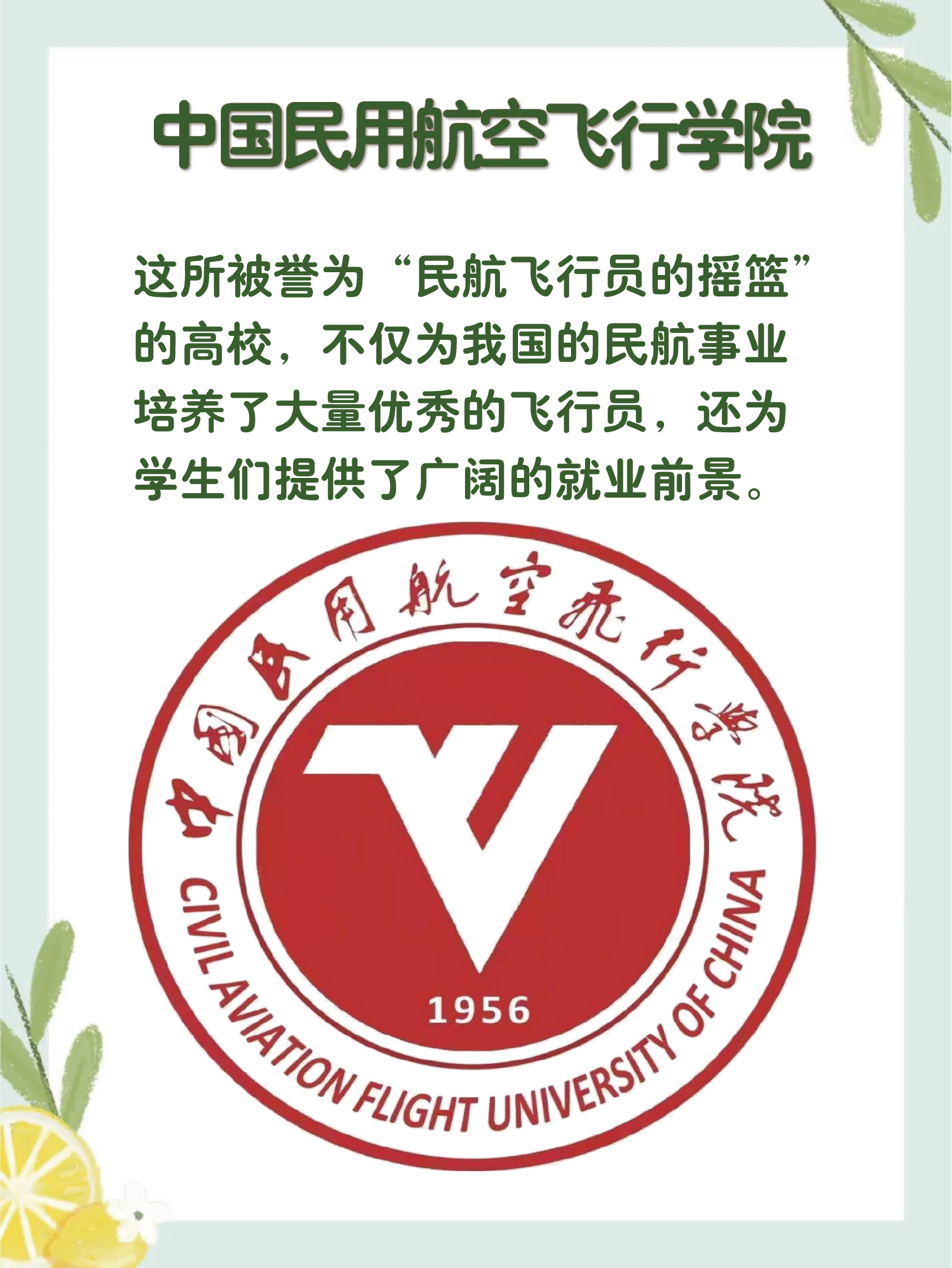 中国民用航空飞行学院的地理位置及其重要性，中国民用航空飞行学院地理位置与重要性概述