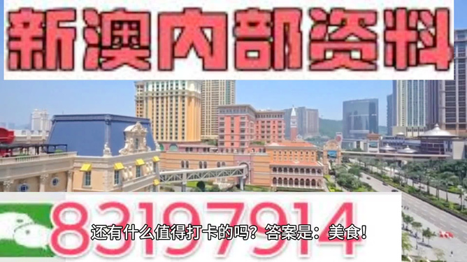 探索澳门，2025新澳门精准正版图库的魅力与重要性，澳门探索之旅，揭秘2025新澳门精准正版图库的魅力与重要性