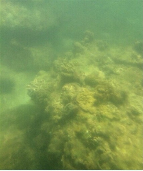 半潜艇,深海中的神秘存在与探索之旅,半潜艇,深海神秘存在与探索之旅揭秘