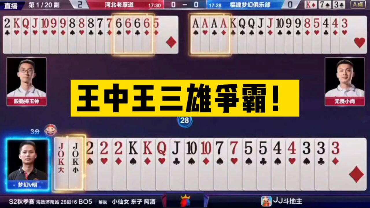 王中王一肖三码资料解析与应用,王中王一肖三码资料深度解析与应用指南