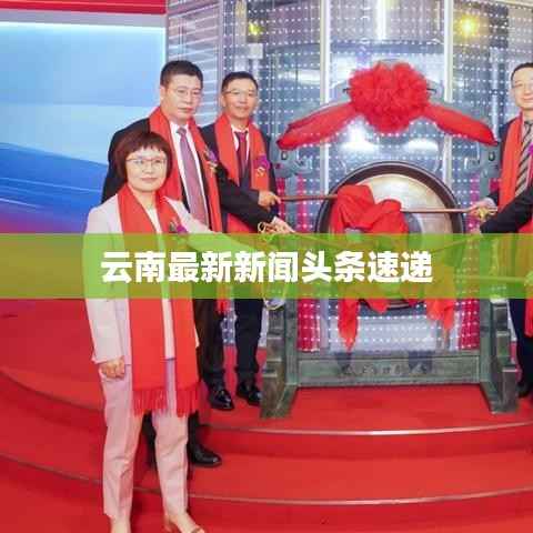 云南今日头条新闻,多彩高原的脉动与变迁,云南最新头条新闻,多彩高原的脉动与变迁