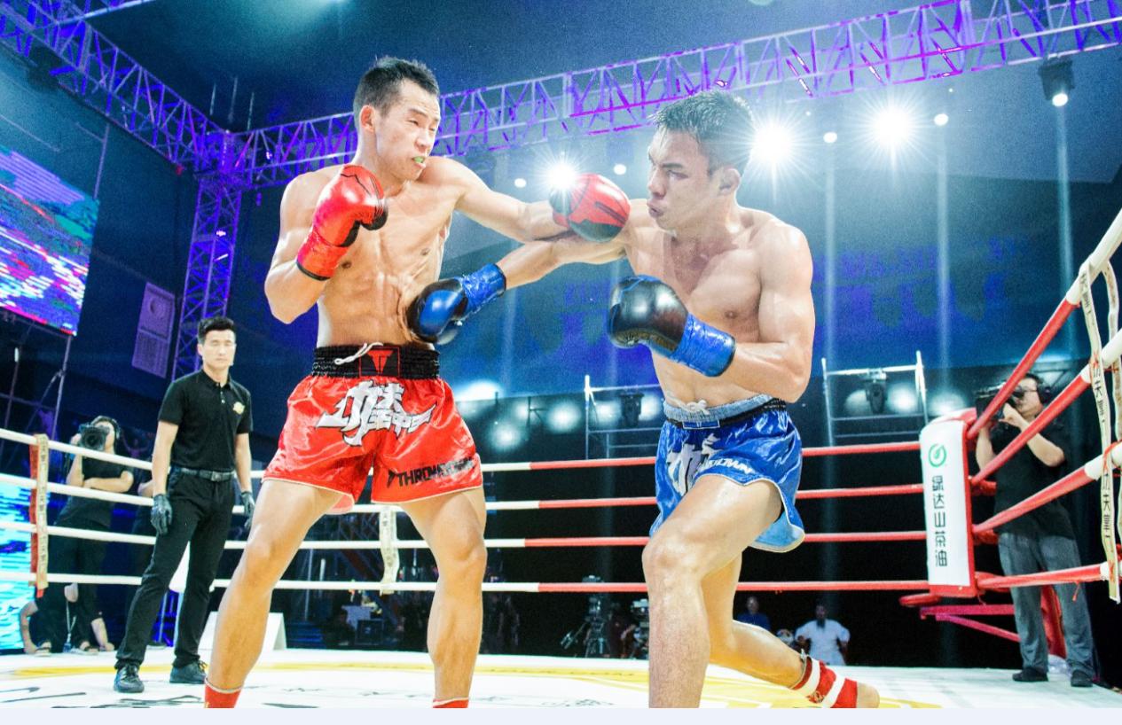 王中王欲钱猜一肖,揭秘生肖之谜与财富游戏,揭秘生肖之谜与财富游戏,王中王欲钱猜一肖探秘之旅