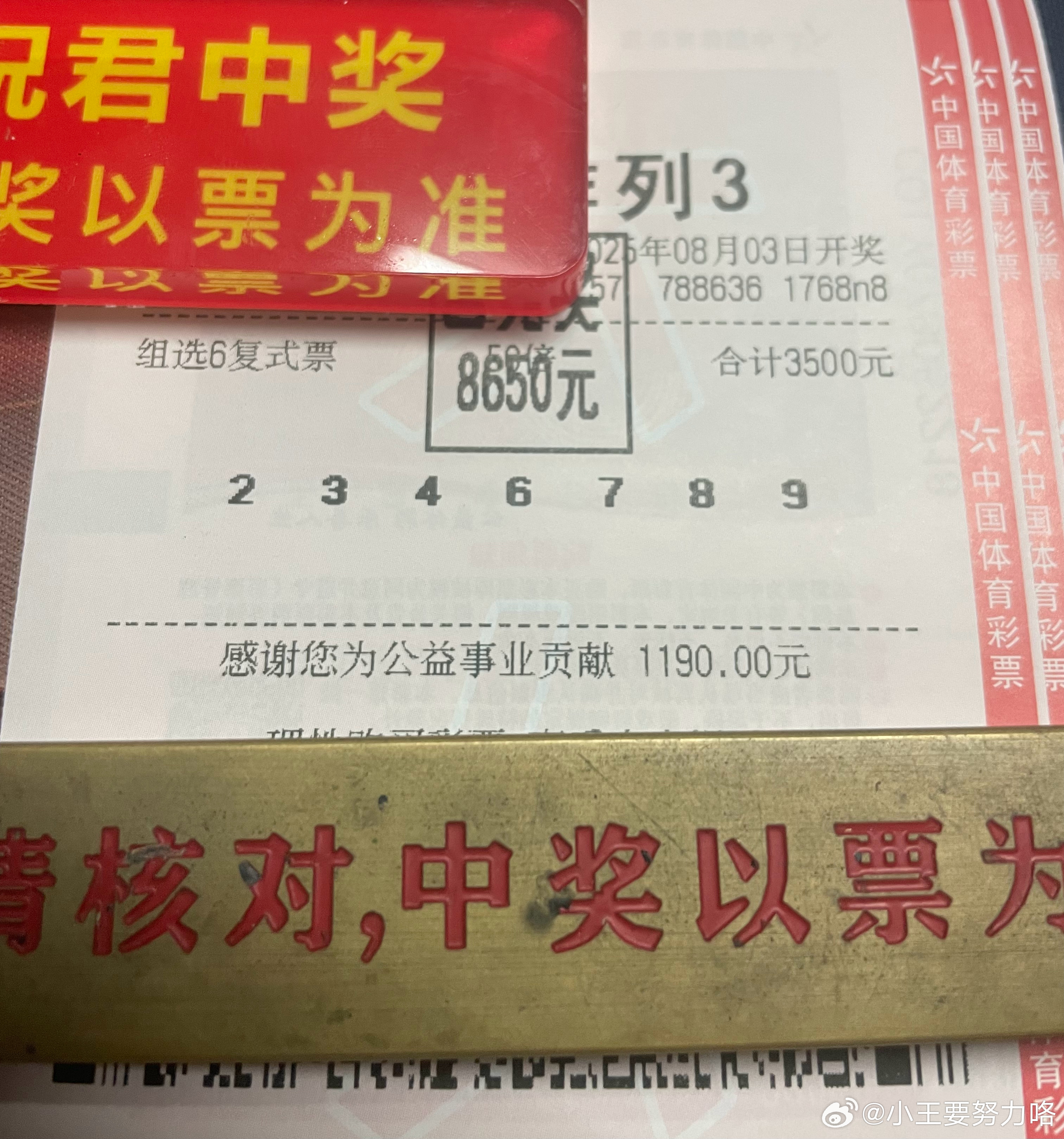 一肖中特504王中王,探寻幸运密码的背后,探寻幸运密码,一肖中特504王中王揭秘