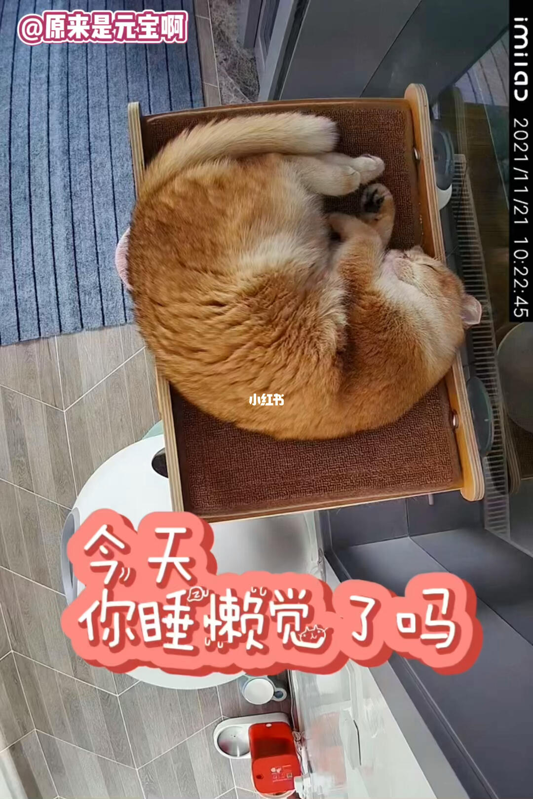 今天你睡了吗?——关于睡眠的重要性与我们的生活品质,今天你睡了吗?——睡眠重要性与生活品质深度关联探讨