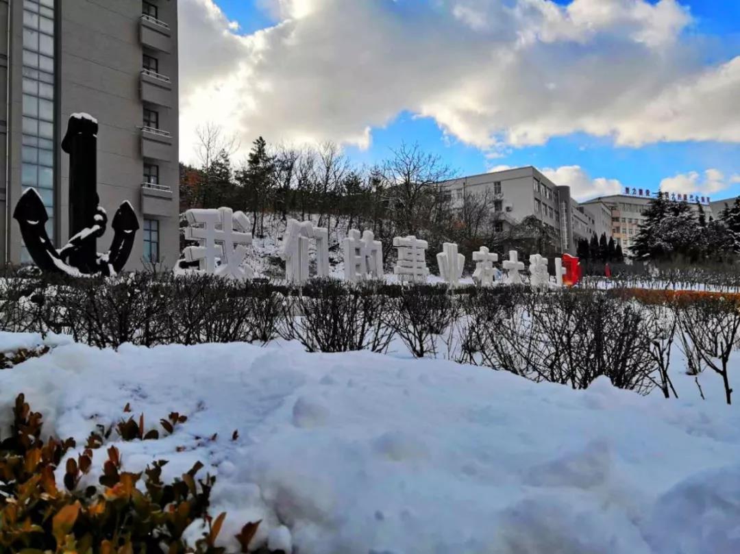 中国解放军大连舰艇学院官网，历史、特色与使命，中国解放军大连舰艇学院，官网概览、历史传承、特色专业与使命担当