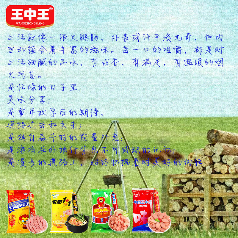 王中王资料公开一肖中特，深度解析与探讨，王中王资料揭秘，深度解析与探讨一肖中特