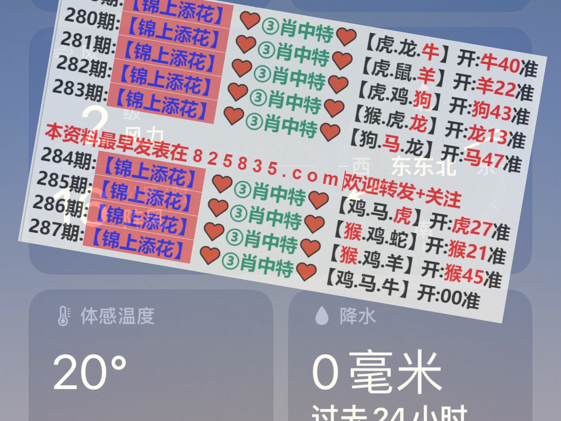 新澳2025年精准一肖一码,预测背后的故事与探索,新澳2025年精准一肖一码预测背后的秘密与探索之旅