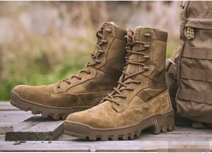 海豹六队与澳门开奖结果，探索神秘与日常的交融，海豹六队与澳门开奖，神秘与日常的交融探索